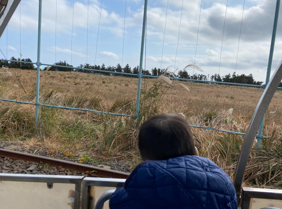 자연을 즐기기는 첫째&amp;#44; 둘째