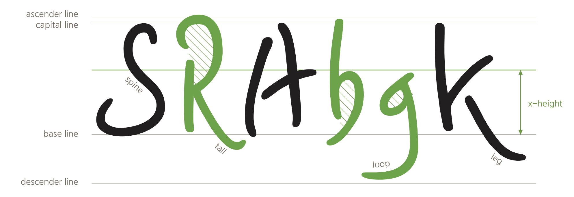 더페이스샵 잉크립퀴드체 영문 디자인 컨셉