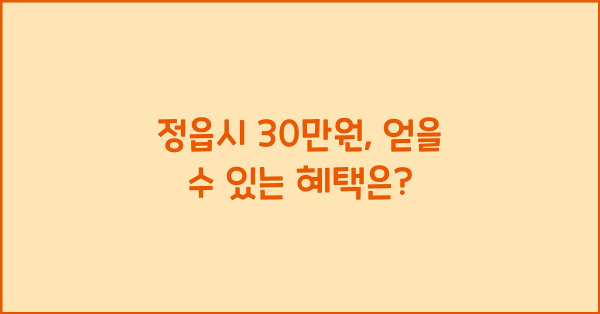 정읍시 30만원