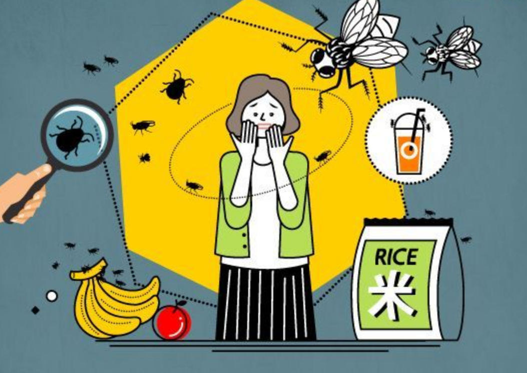 집에서 벌레 줄이는 방법에 대해 알아보자