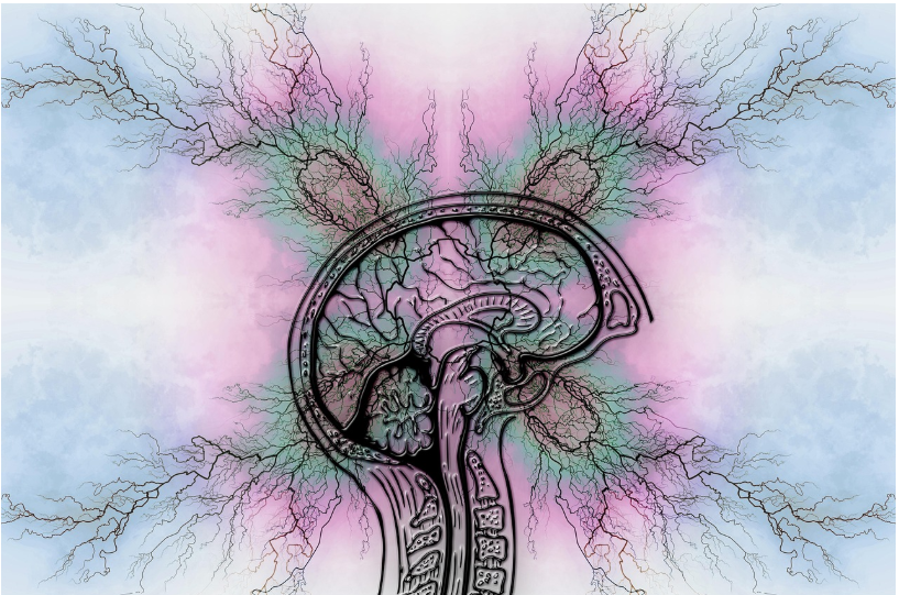투렛 증후군(Tourette Syndrome) 총정리