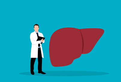 비알콜성 지방간 vs 알콜성 지방간: 원인과 치료법 차이 완벽 정리