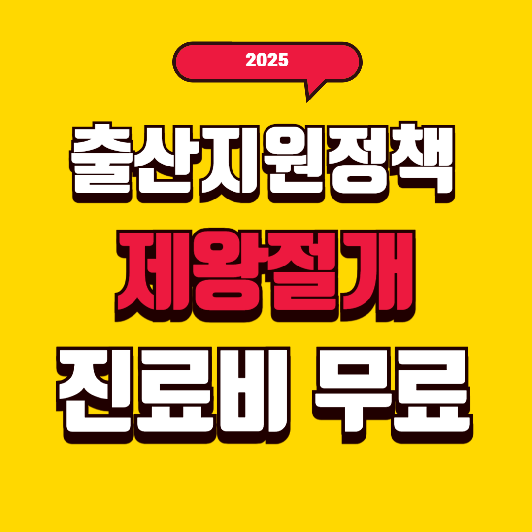 출산지원정책 제왕절개 진료비 무료