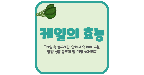 케일 효능