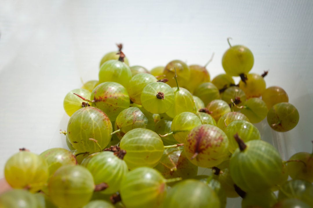 Grapeseed