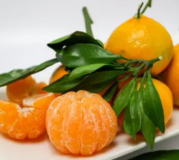 제주 귤 10kg 가격&amp;#44; 효능과 영양성분