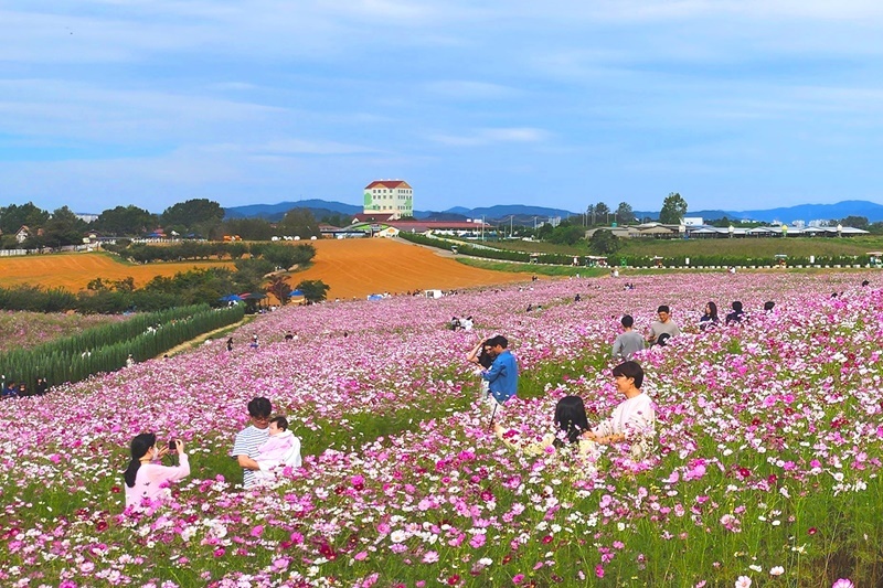 경기투어패스
