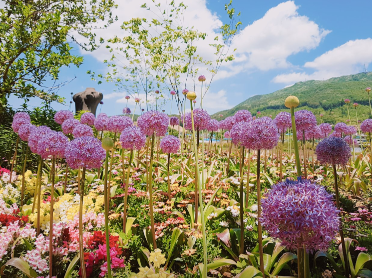 아름다운정원화수목3