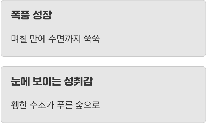 폭풍 성장&amp;#44; 초보자의 자신감 충전기