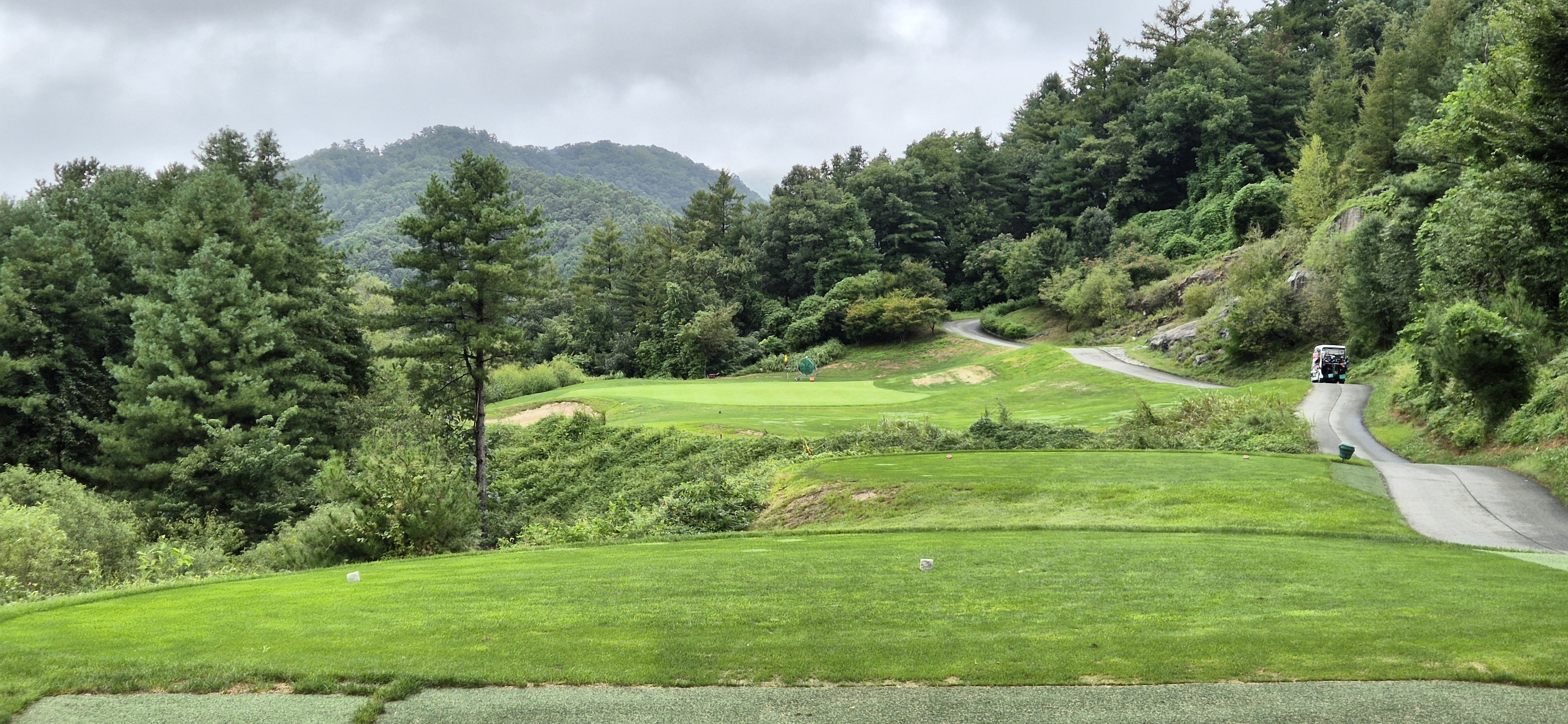 더플레이어스cc