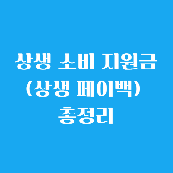 상생 소비 지원금(상생 페이백) 총정리
