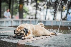 자꾸만 일을 미루게 되는 사람들을 위해