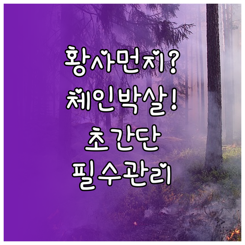 자전거 체인 성능 유지를 위한 황사 ..