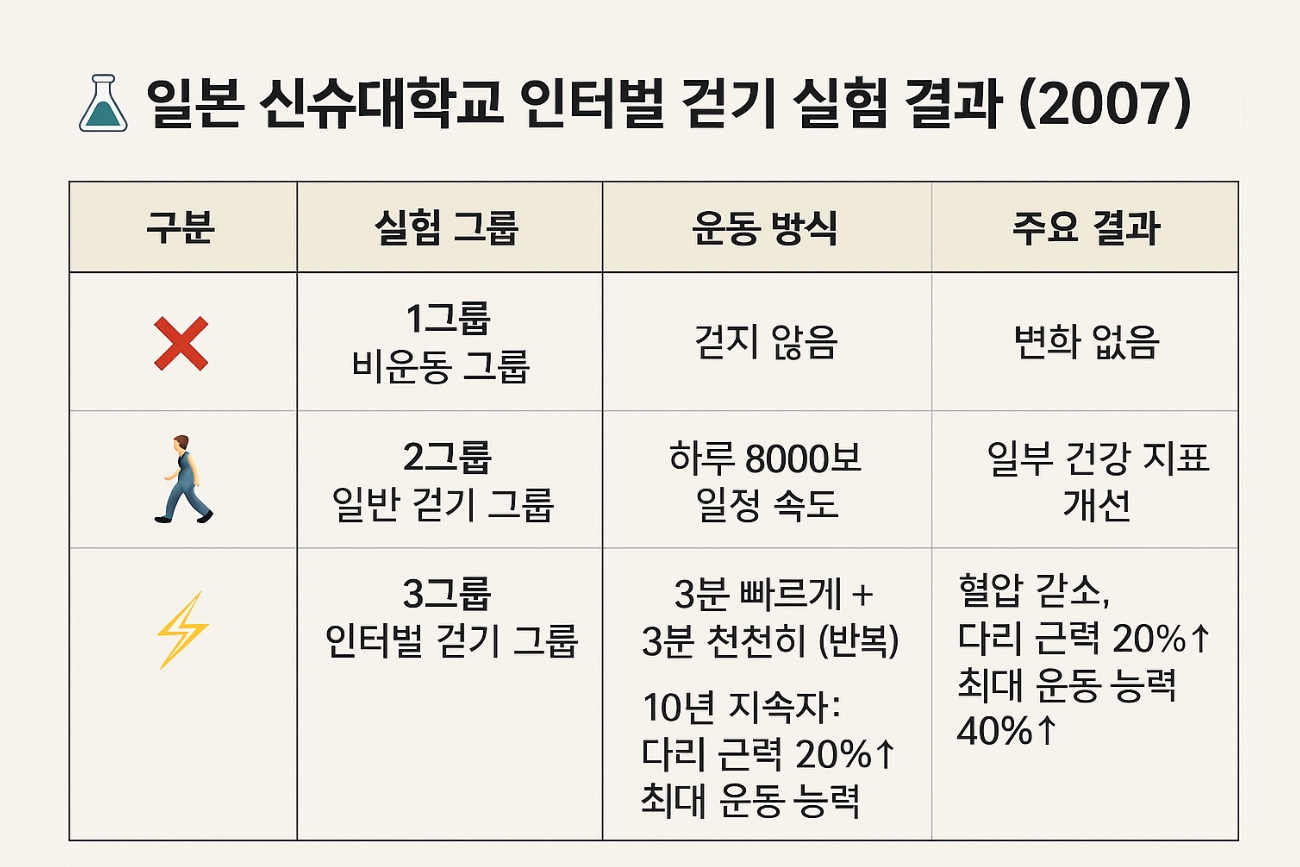 구분 실험 그룹 운동 방식 주요 결과