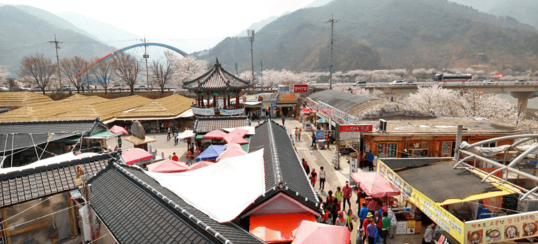 하동 벚꽃 개화시기