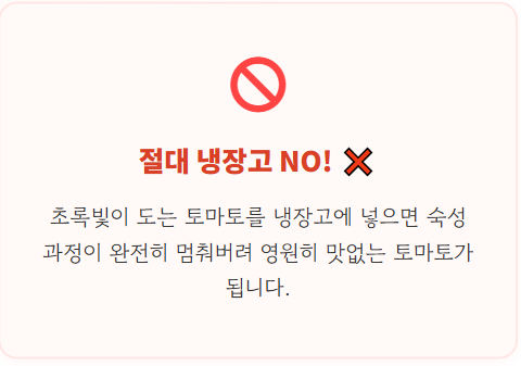 토마토 보관방법