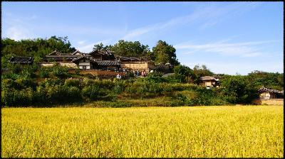 사춘기 아들과 명절 여행 가기 좋은 곳 (국내여행, 명절, 가족)