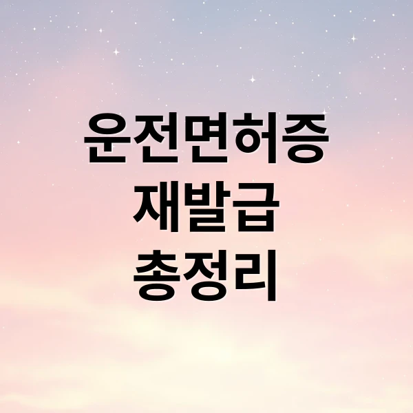 운전면허증 재발급 총정리 문구