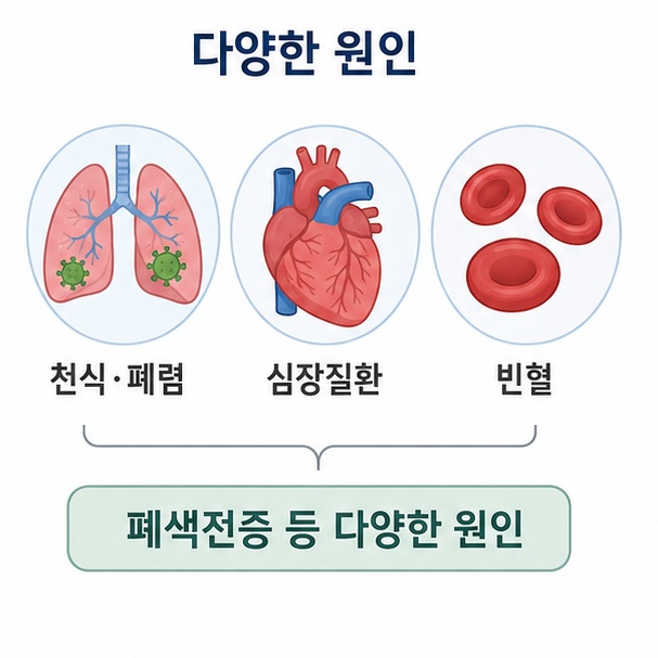천식과 폐렴, 심장질환, 빈혈, 폐색전증 등 호흡곤란을 일으킬 수 있는 원인을 설명한 이미지