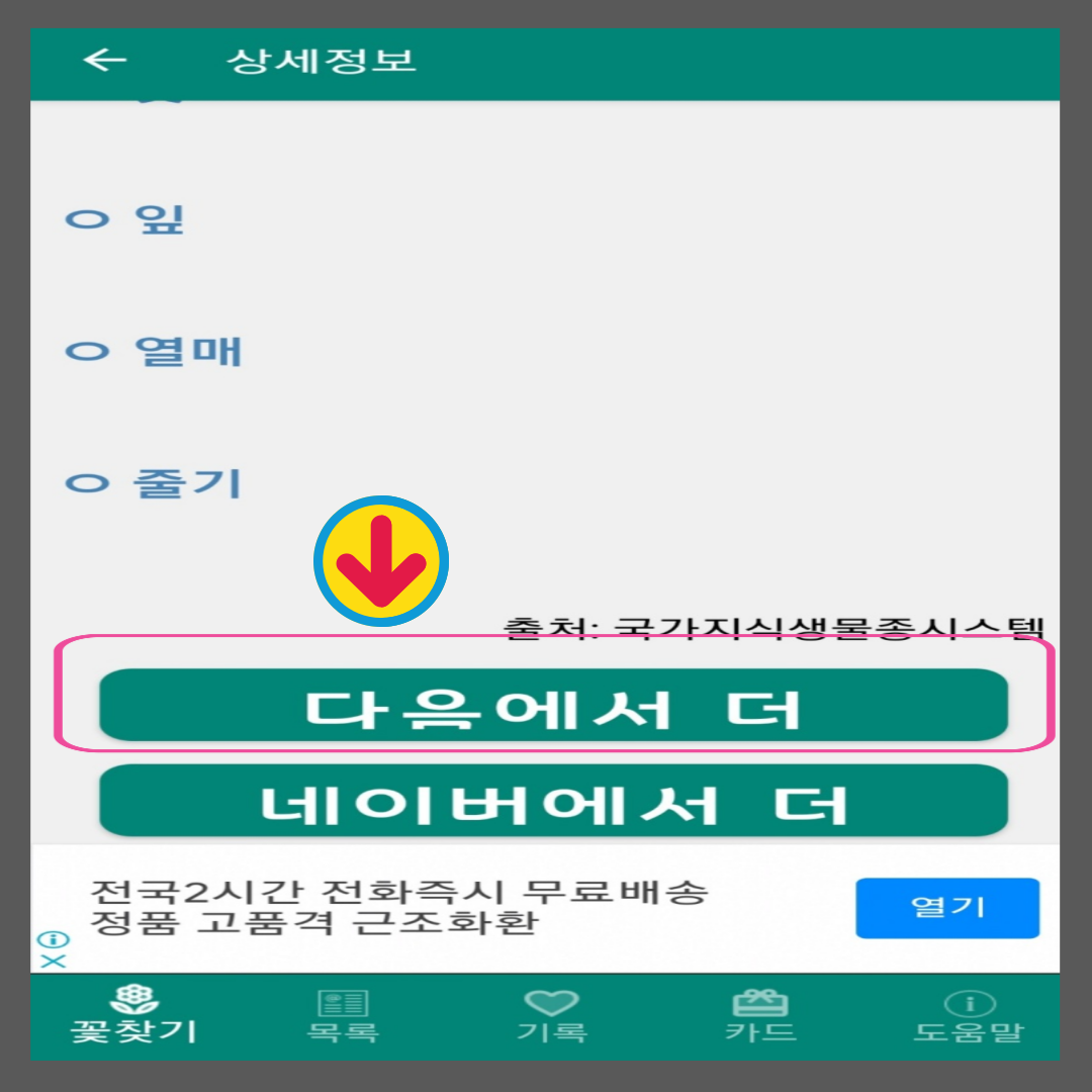 꽃이름 찾기 앱