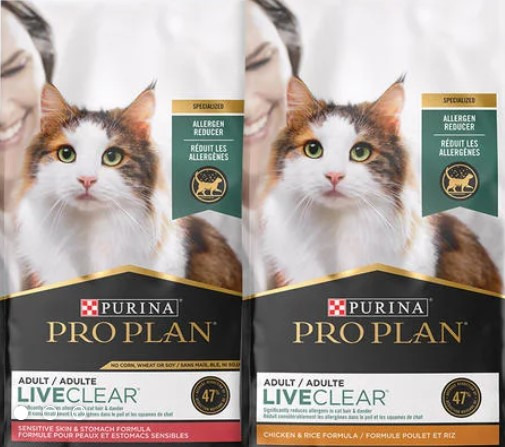 당신의 고양이를 위한 완벽한 식사: 반려묘 사료의 모든 것