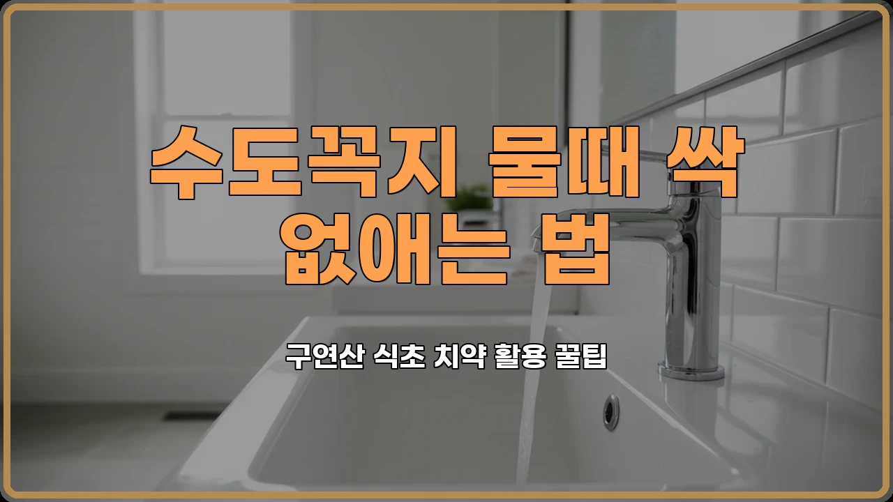 구연산활용법
