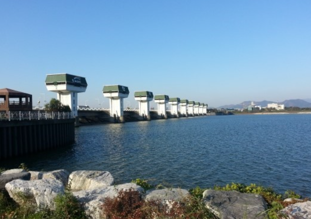 창녕 낙동강 유채축제 완벽 가이드: 대한민국 대표 봄꽃 축제