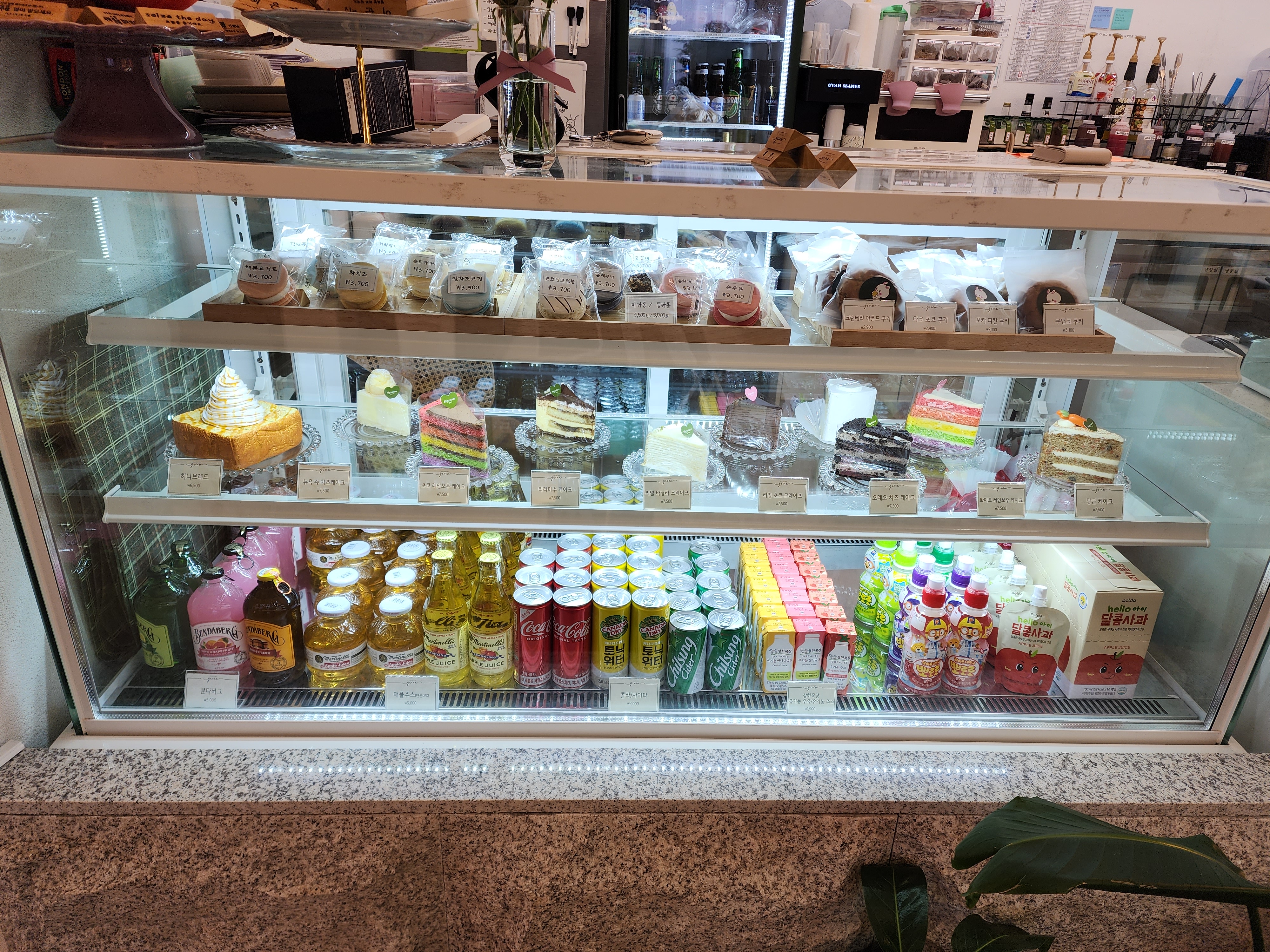 시그니처 그린 카페 쇼케이스