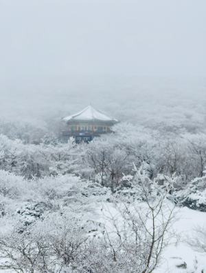 제주-한라-눈-꽃-버스-운행-정보