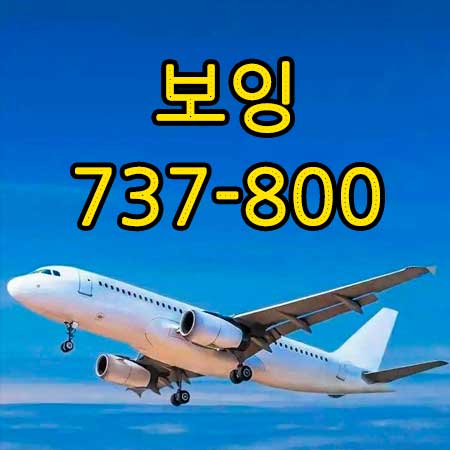 보잉 737-800