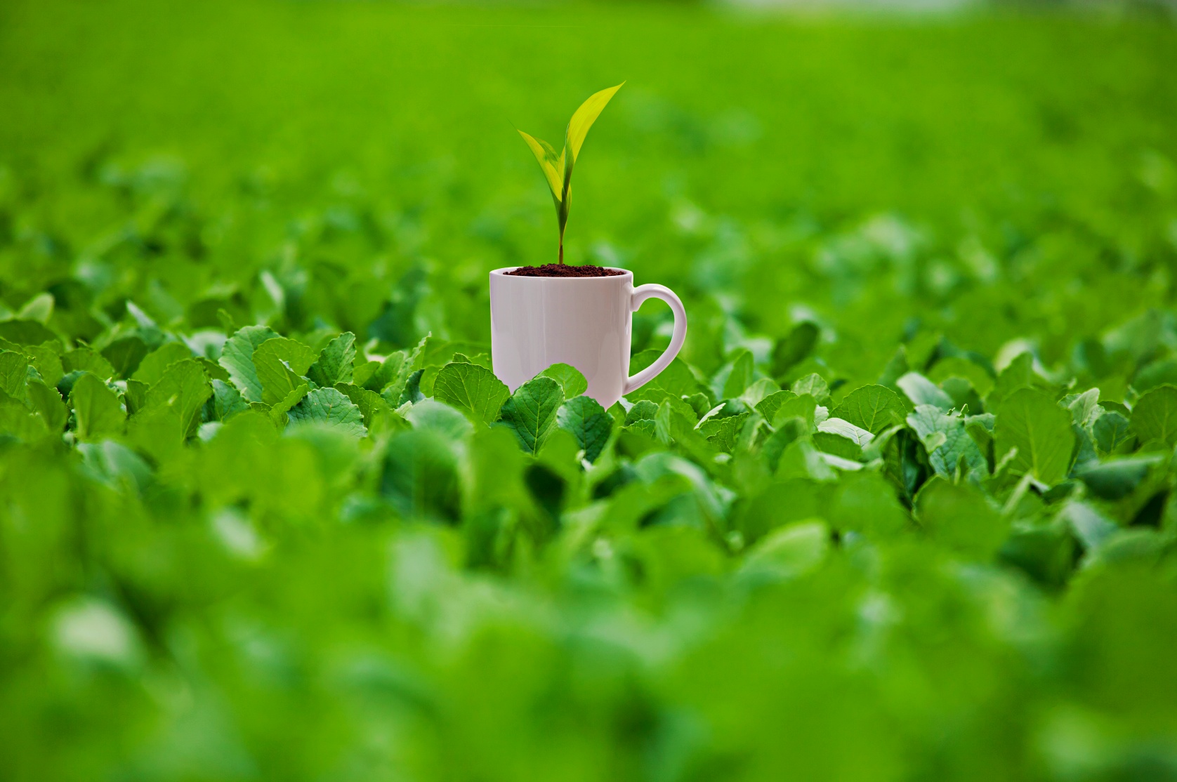 우대금리 유리한 이유