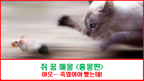 쥐 꿈 해몽