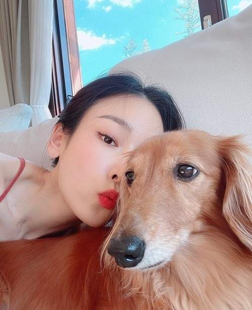 서현진 프로필