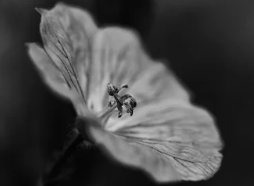 부고대상 표현 알아보기