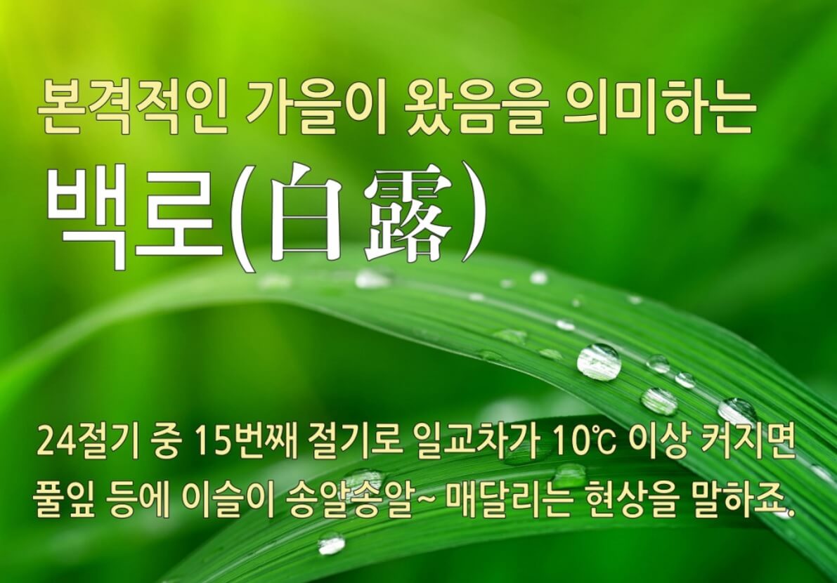 가을 절기 백로