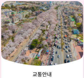 진해군항제