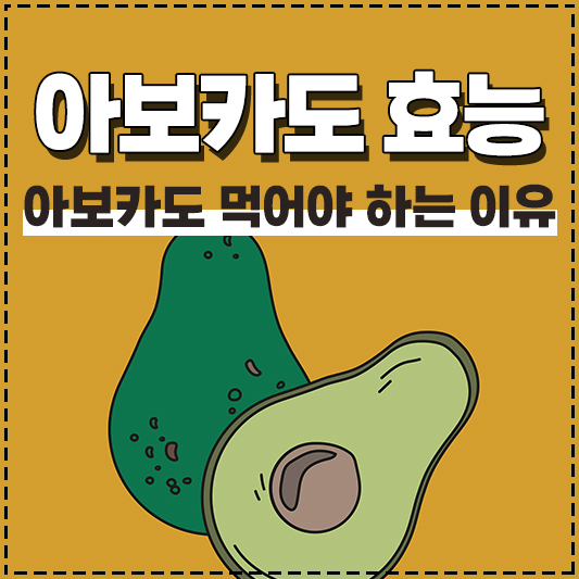 아보카도 효능 아보카도를 먹어야 하는 이유