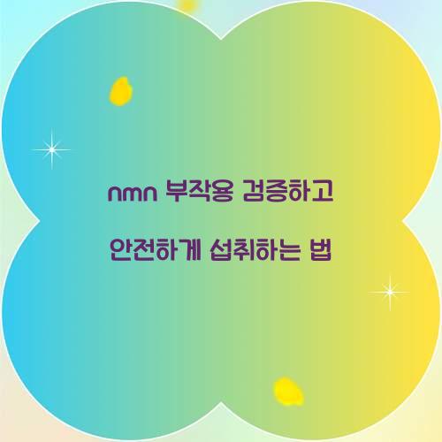 nmn 부작용