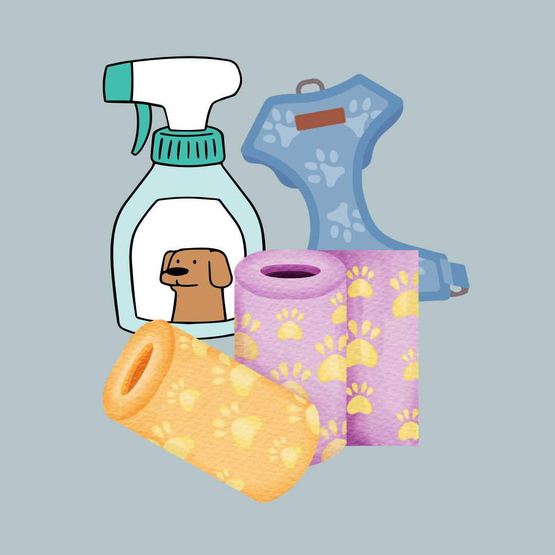 반려동물과/여행하기/대중교통별/이용방법 