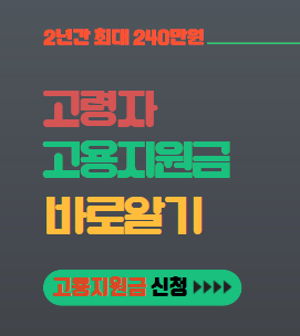 고령자 고용지원금 대표이미지