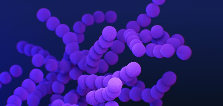 세균성 vs 바이러스성 증상 비교