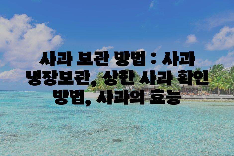 샘플 (72)