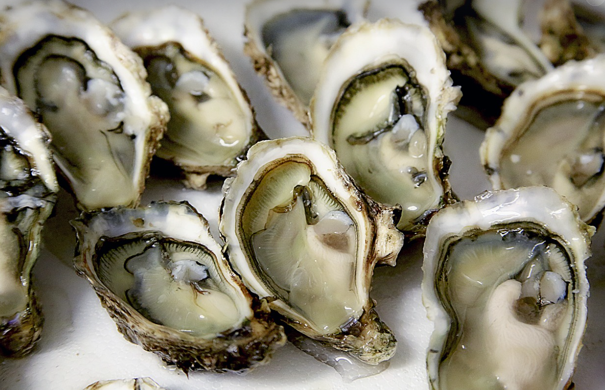 한국 굴, 세계로 뻗어가다