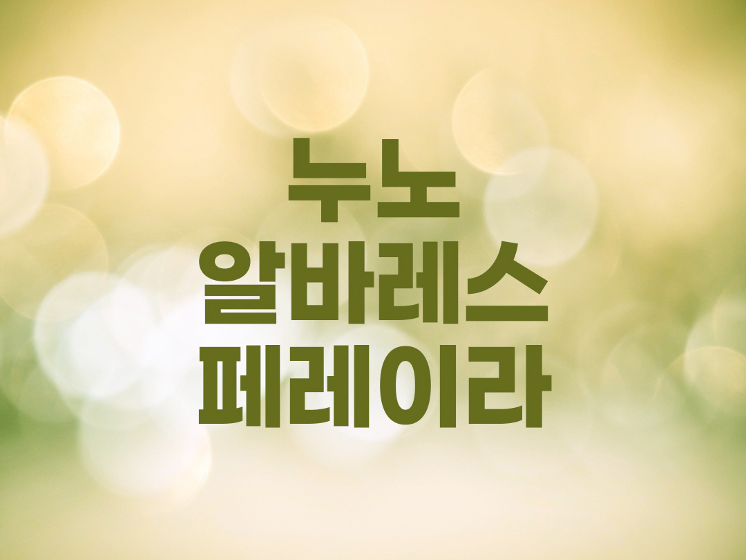 누노 알바레스 페레이라 천주교 남자세례명