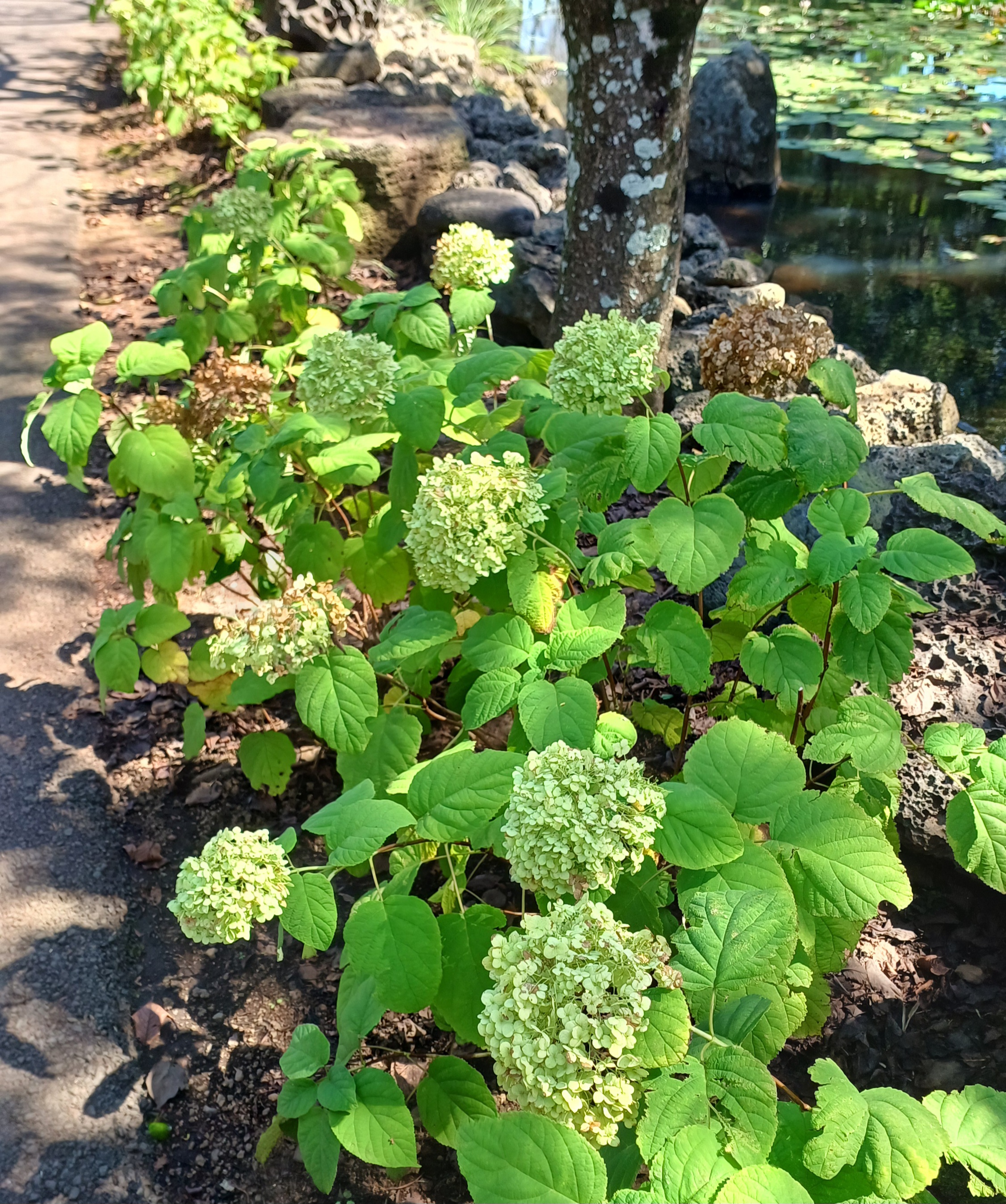 제주-동화마을-6