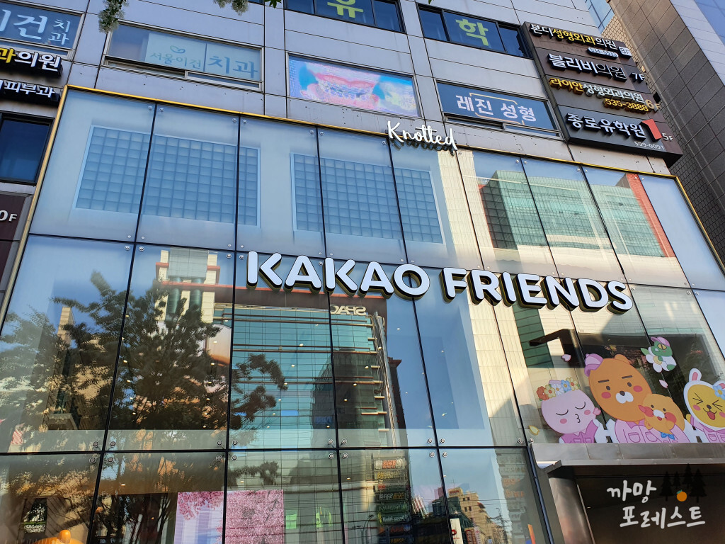 카페 노티드 위치