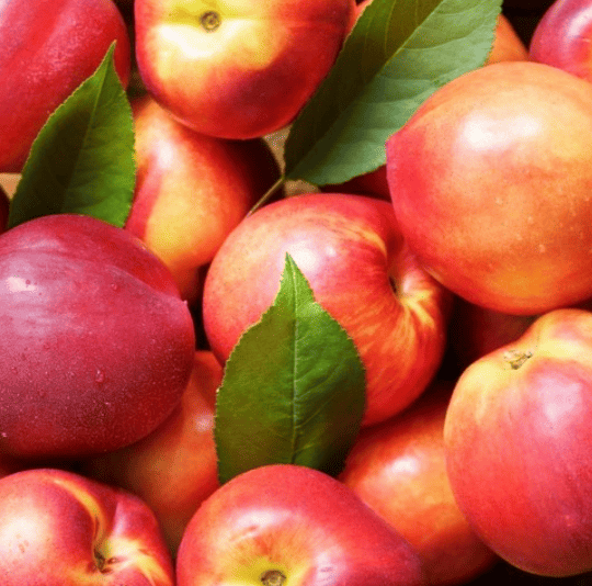 신비복숭아 추천 순위 TOP 5(25년 6월) - 네이버, 쿠팡 인기 판매 랭킹 비교