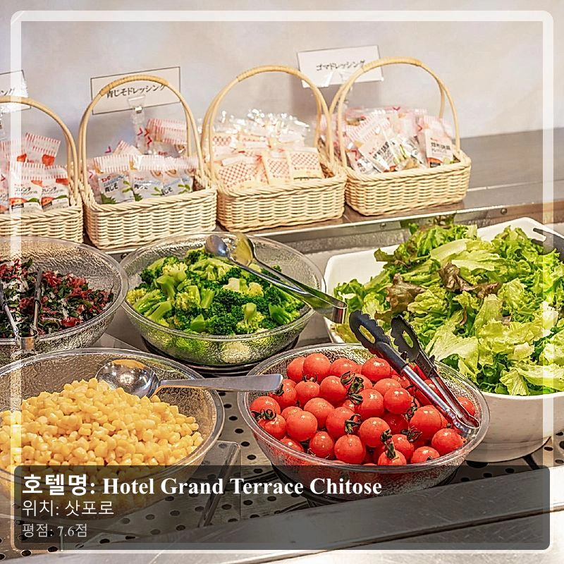 Hotel Grand Terrace Chitose_4