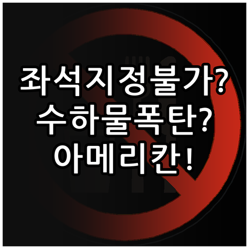 아메리칸 항공 기본 이코노미, 좌석 ..