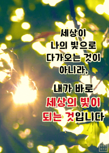 나뭇잎 사이로 비치는 햇살과 함께 자신이 세상의 빛임을 깨닫는 긍정 메시지